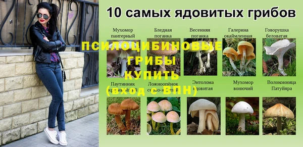 МДПВ Аркадак