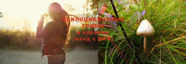 скорость Алзамай